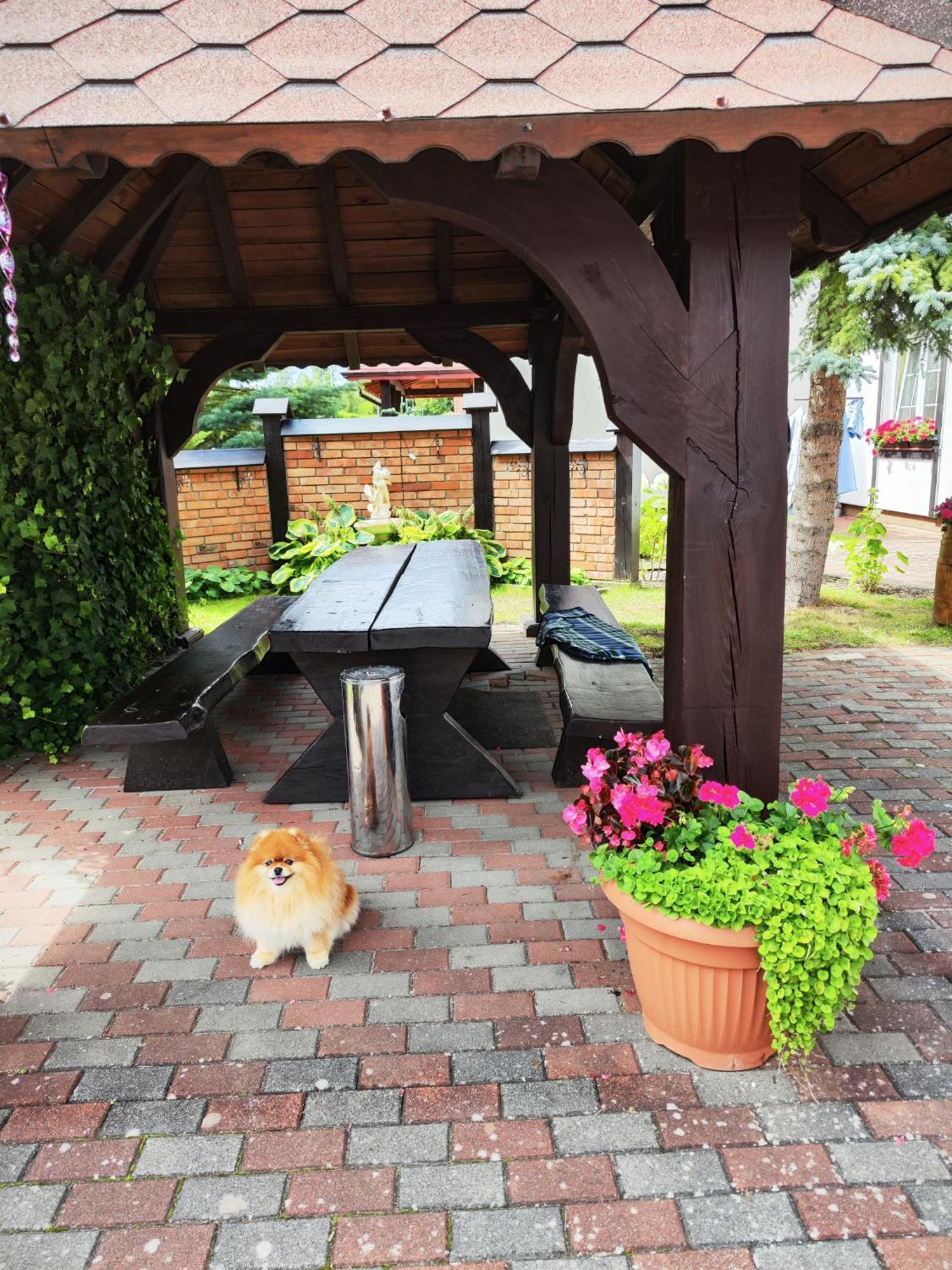 Michalek W Rowach Panzió Rowy  Kültér fotó